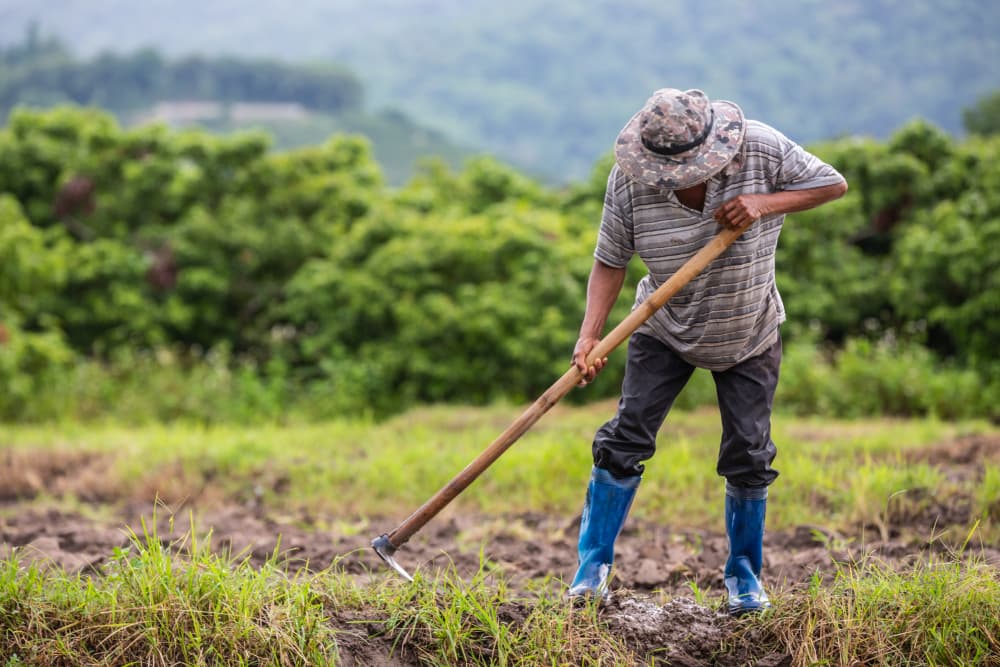 Agricultura sostenible