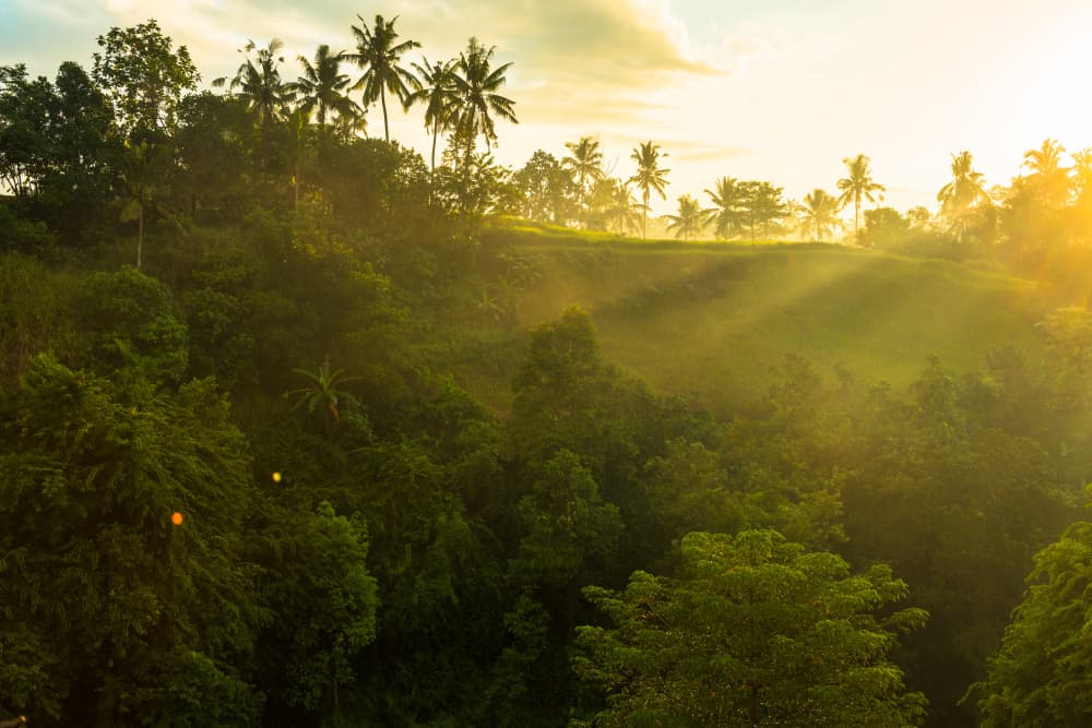 Amenazas del Amazonas