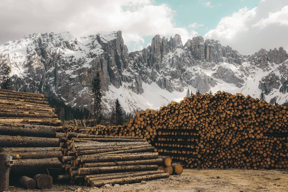 Deforestación en América Latina