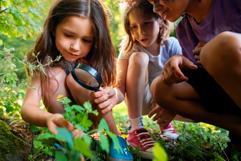 Educación ambiental