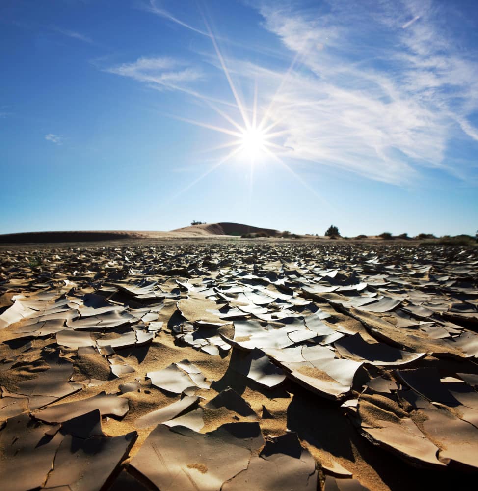 Cambio Climático