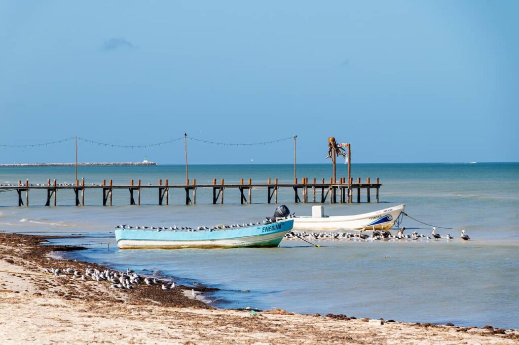 Playa en Quintana Roo afectada por sargazo.