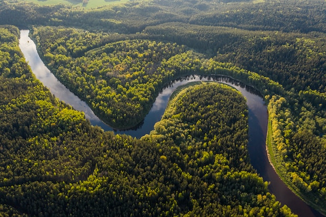 Amazonas