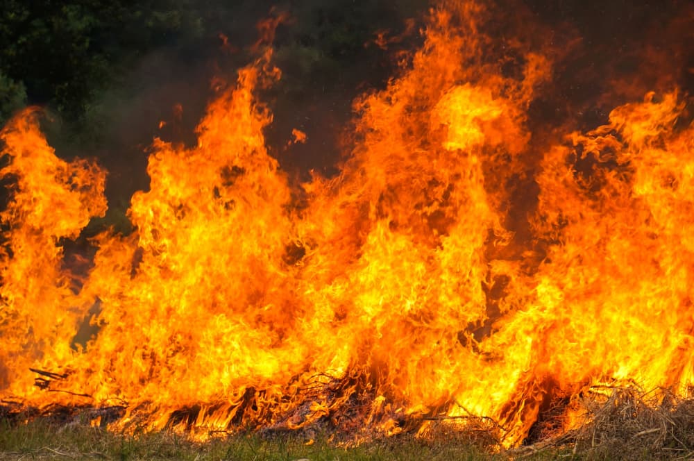 Destrucción por incendios forestales en América Latina debido al cambio climático