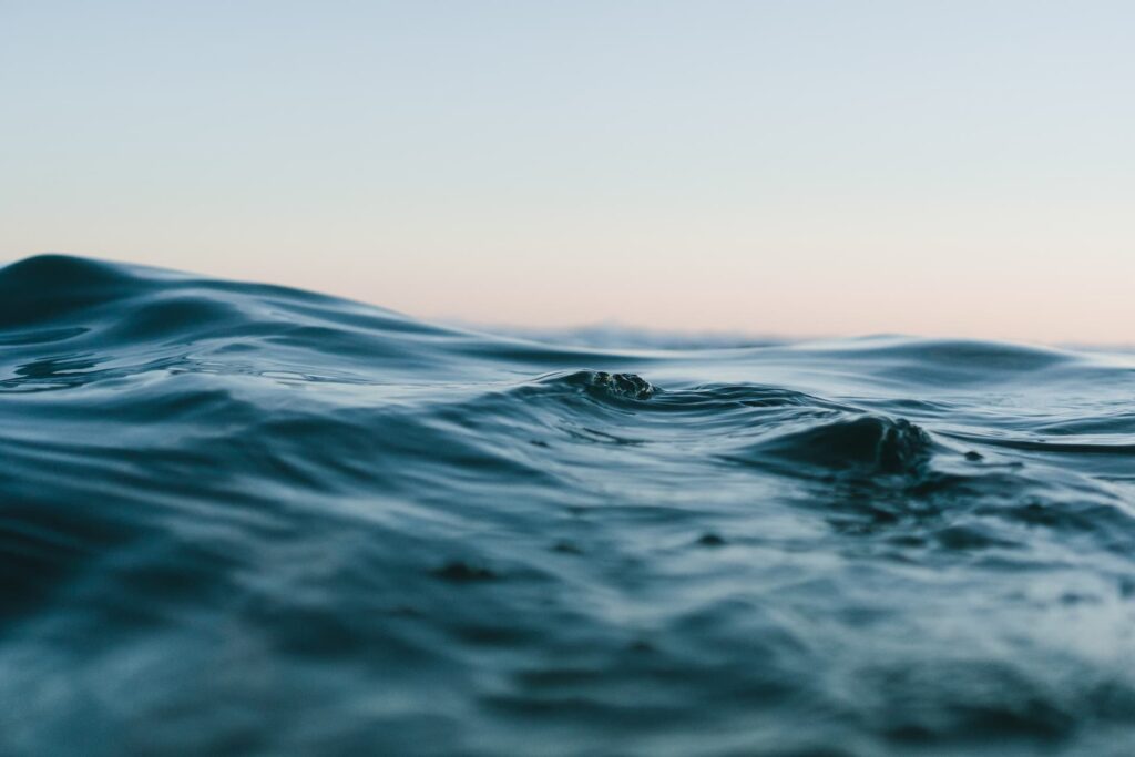 Imagen de conservación marina y protección oceánica