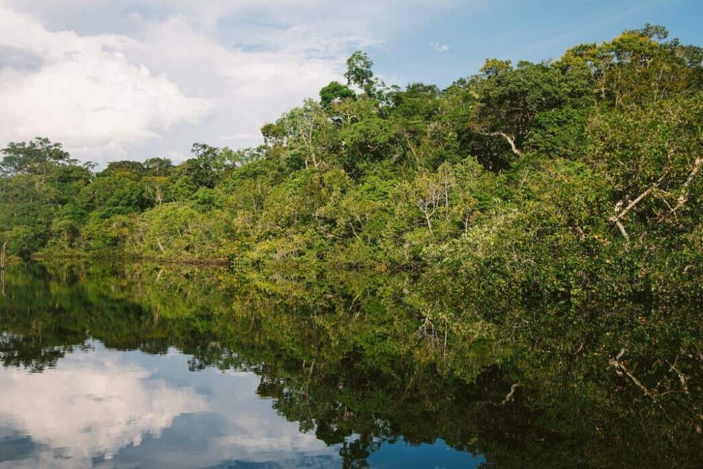 Desastre climático