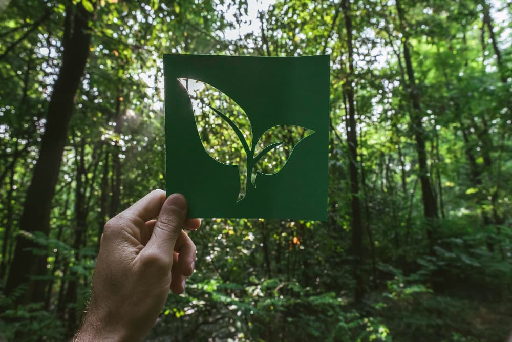 Mano sosteniendo símbolo de vida verde ecológico