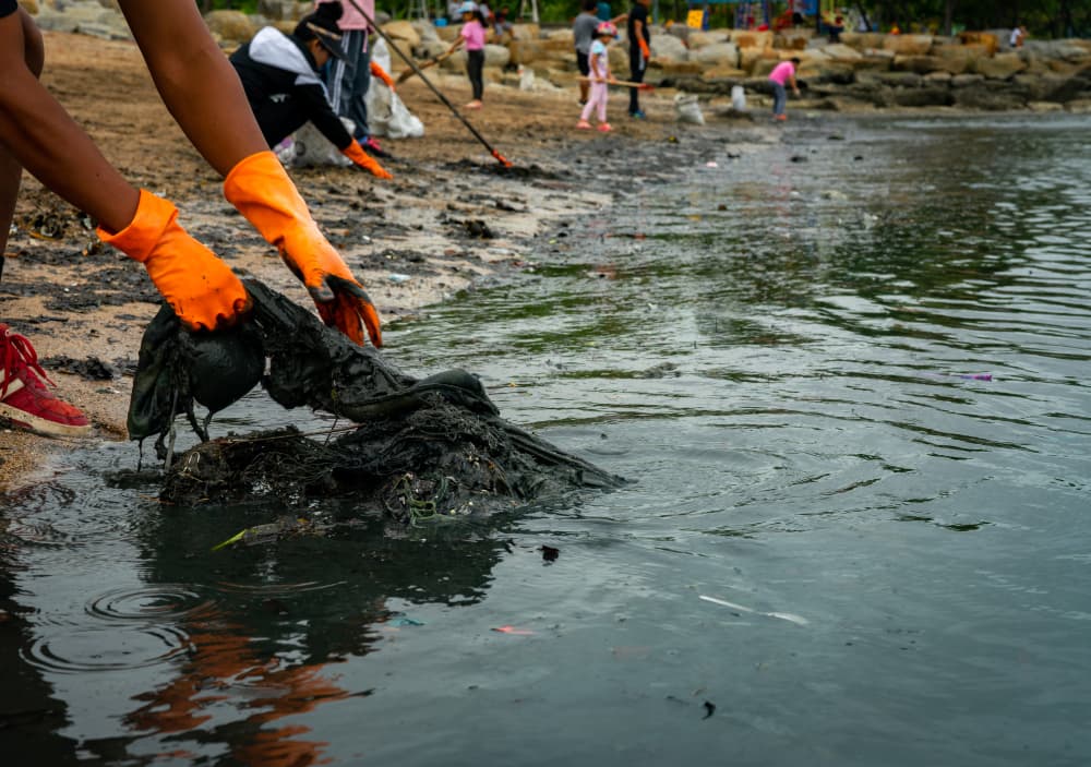 Voluntarios recogiendo basura en una playa marina