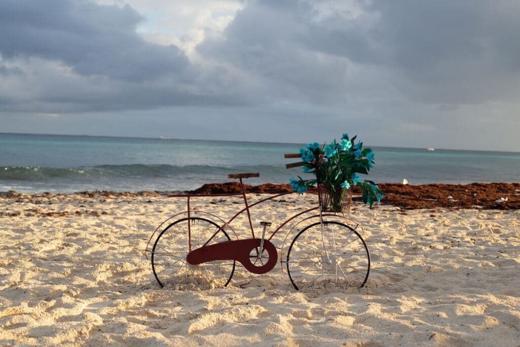 Playa caribeña afectada por sargazo.