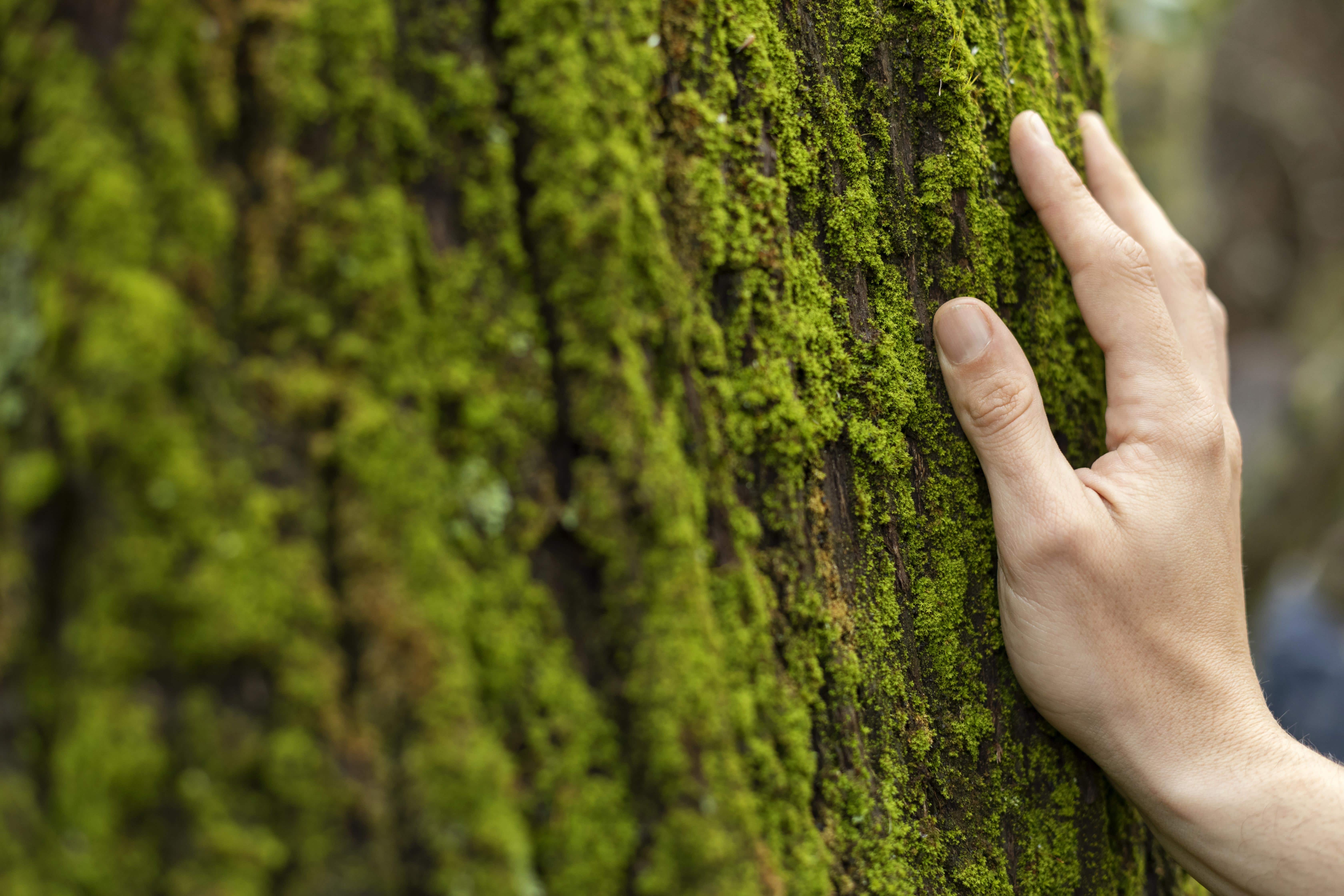 5 claves para cuidar el medio ambiente