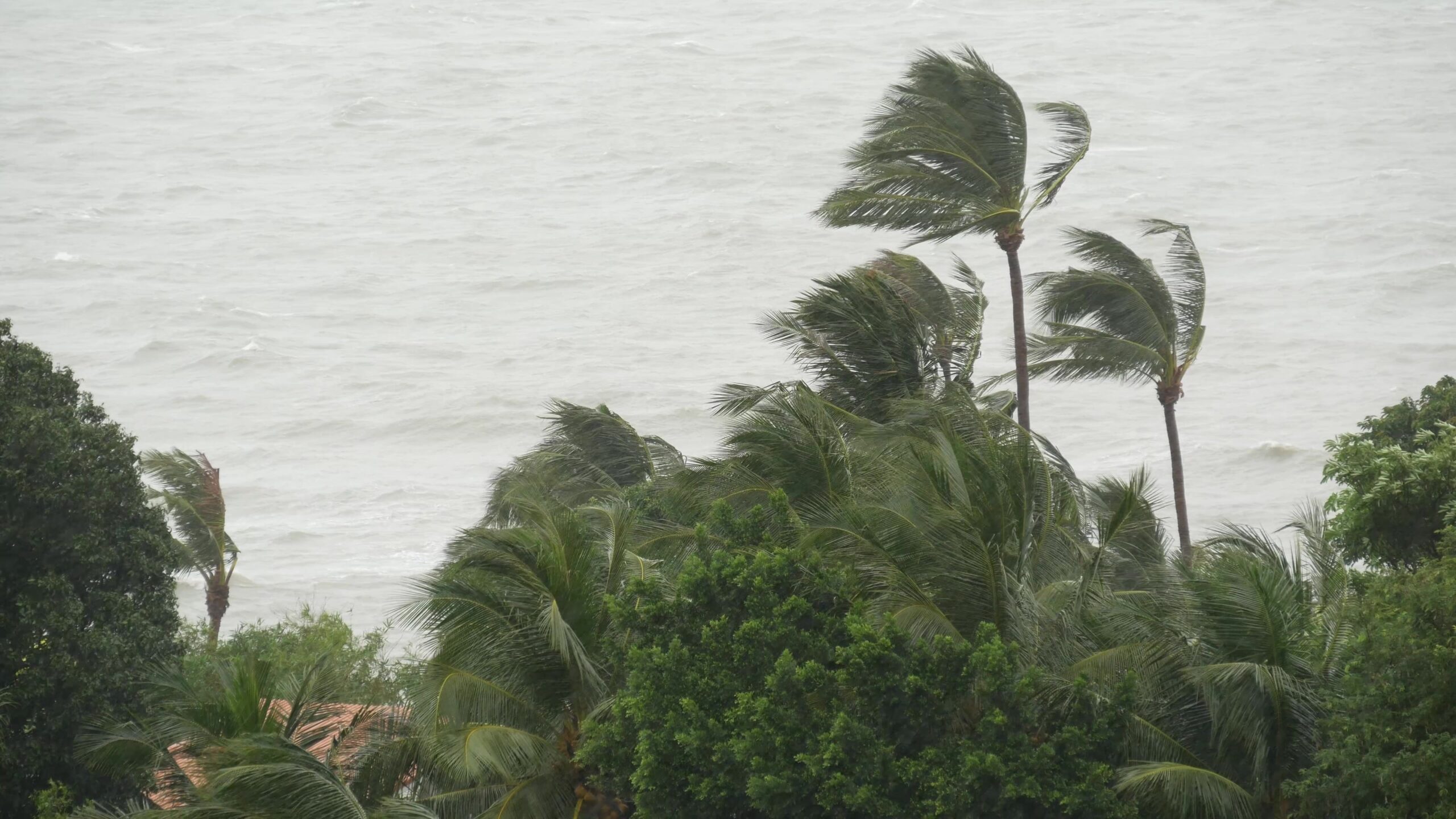 Descubre las razones detrás de la asombrosa evolución de la tormenta tropical Otis a un devastador huracán de categoría 5.