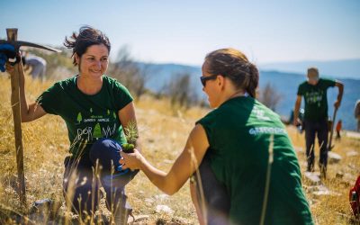 Voluntarias de la Fundación Bosques Nativos Argentinos preparan plantines nativos para la reforestación tras incendios en la Patagonia.