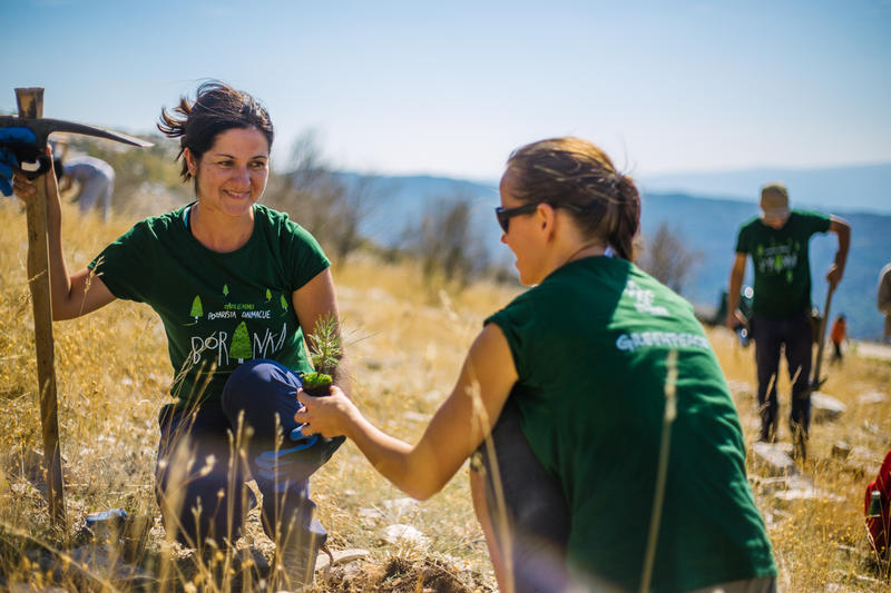 Voluntarias de la Fundación Bosques Nativos Argentinos preparan plantines nativos para la reforestación tras incendios en la Patagonia.