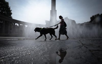 Una mujer pasea a su perro frente a una fuente, rodeados por vapor de agua, en un día caluroso.