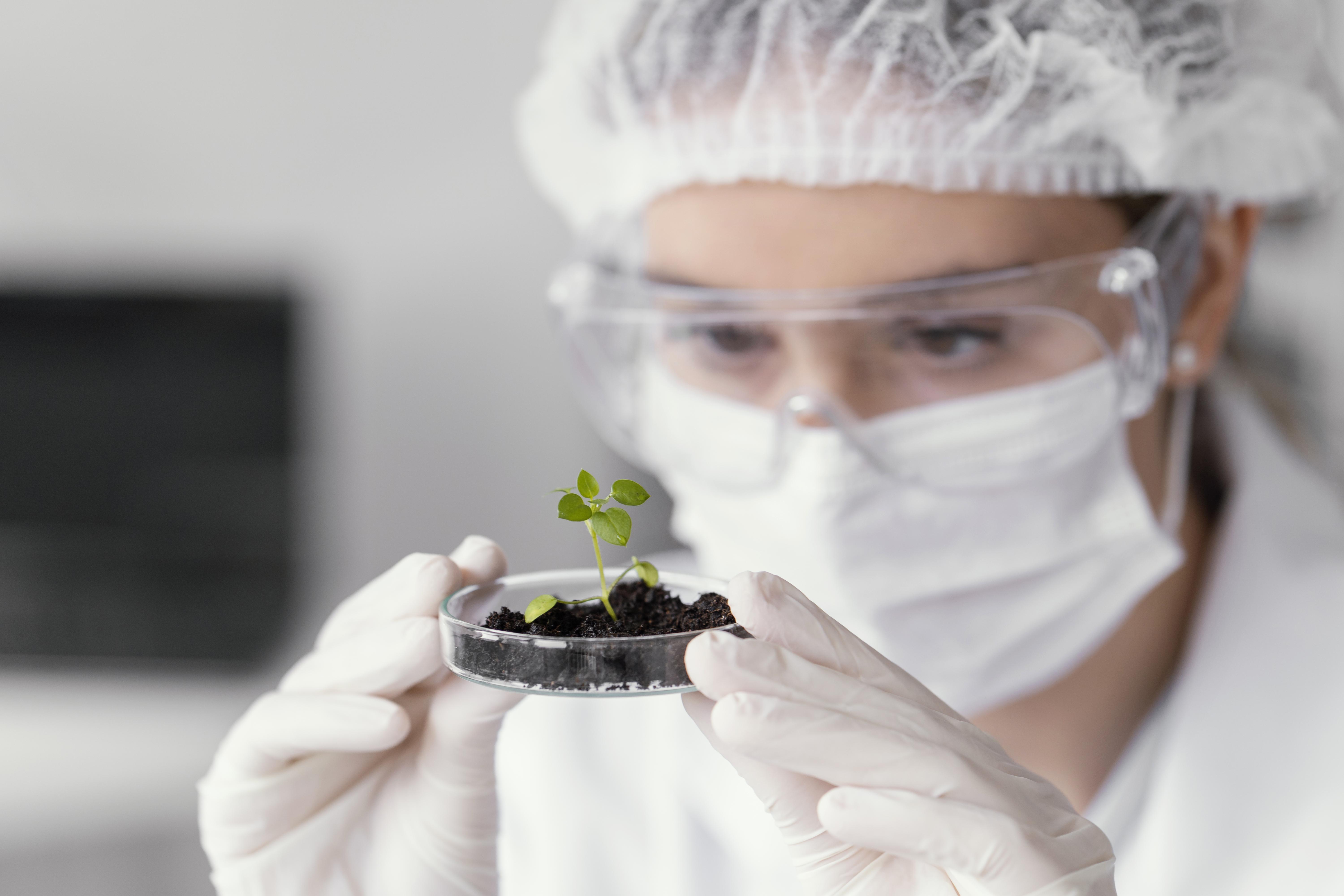 Investigadora en laboratorio observando una planta en una placa de Petri con guantes, barbijo y gafas protectoras.