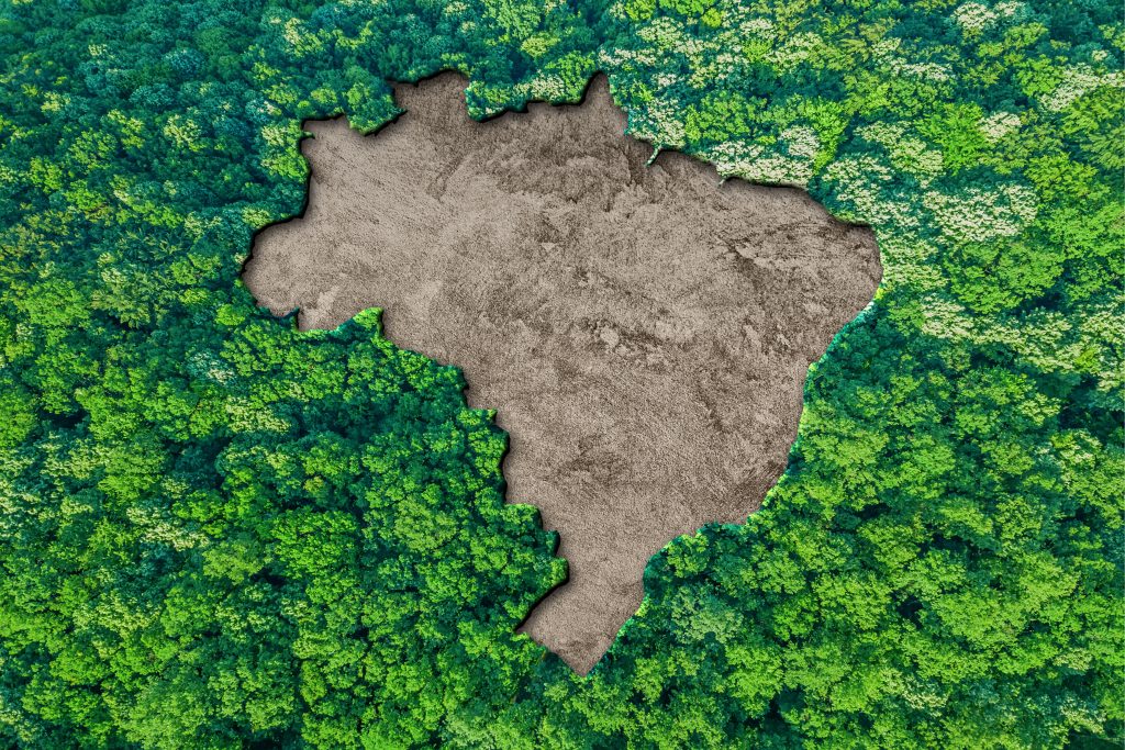 Imagen aérea de una selva verde con un gran claro en forma del mapa de Brasil que simboliza la deforestación.