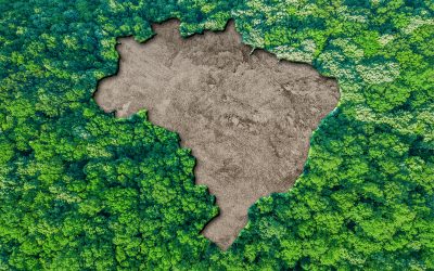 Imagen aérea de una selva verde con un gran claro en forma del mapa de Brasil que simboliza la deforestación.