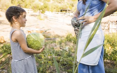 Niña con vestido de rayas sosteniendo un repollo grande mientras conversa con una mujer de delantal en un huerto soleado.
