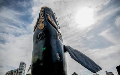 Escultura de ballena franca austral erguida en un espacio público urbano con edificios de fondo.