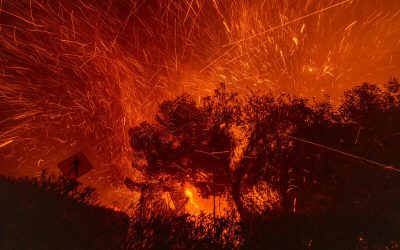 Incendio forestal nocturno con llamas intensas y chispas elevándose entre los árboles, iluminando el cielo en tonos rojos y anaranjados.