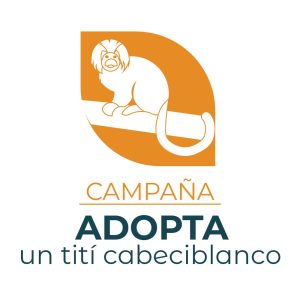 Adopta un Tití Cabeciblanco en Colombia — material visual publicado por Fundación Natura