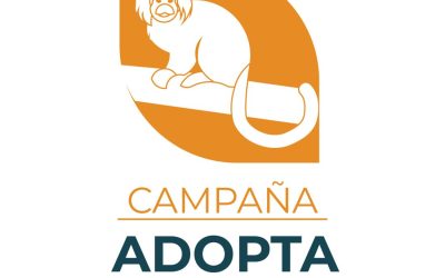 Adopta un Tití Cabeciblanco en Colombia — material visual publicado por Fundación Natura