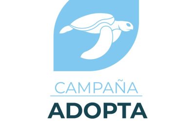 Adopta una Tortuga con Fundación Natura — material visual publicado por Fundación Natura
