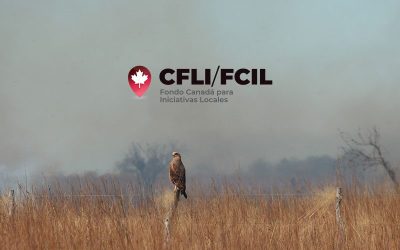Alto al Fuego: prevención de incendios en Corrientes — material visual publicado por Manos Verdes