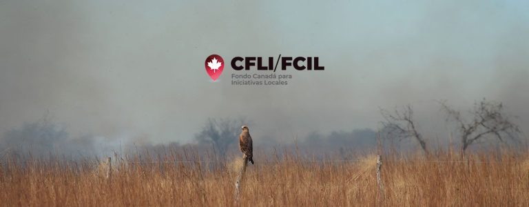 Alto al Fuego: prevención de incendios en Corrientes — material visual publicado por Manos Verdes