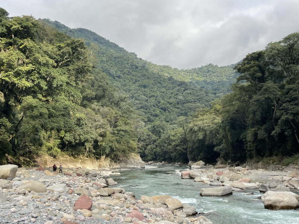 Alto Bermejo: restauración de las Yungas salteñas — material visual publicado por Rewilding Argentina