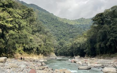 Alto Bermejo: restauración de las Yungas salteñas — material visual publicado por Rewilding Argentina