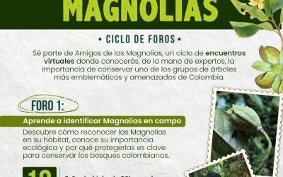 Amigos de las Magnolias: participación con ProAves — material visual publicado por ProAves