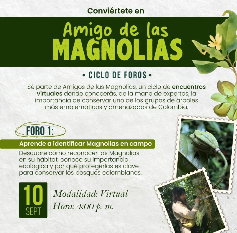 Amigos de las Magnolias: participación con ProAves — material visual publicado por ProAves