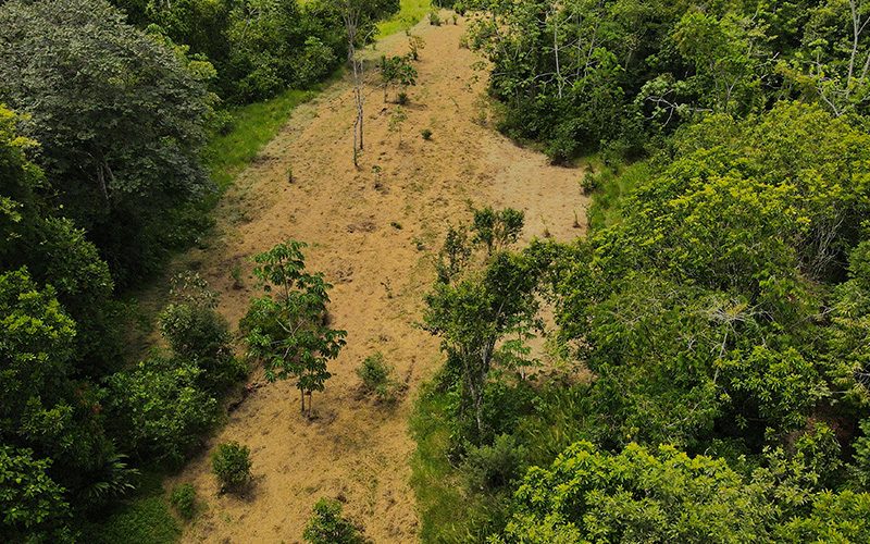 Bosques, Mármoles y Pantágoras: manejo participativo — material visual publicado por Fundación Natura