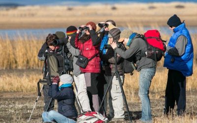 Clubes de Observadores de Aves en Argentina — material visual publicado por Aves Argentinas