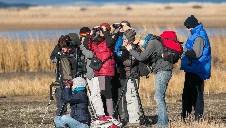 Clubes de Observadores de Aves en Argentina — material visual publicado por Aves Argentinas