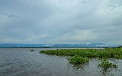 CO2 Humedales: restauración en Colombia — material visual publicado por Fundación Natura