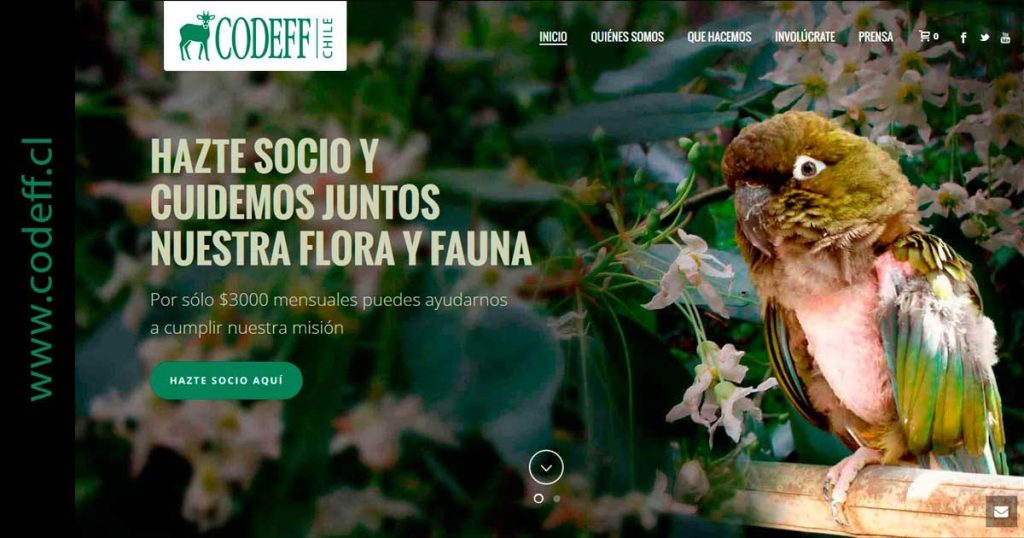 CODEFF investiga el clima en los humedales — material visual publicado por CODEFF