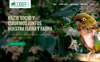 CODEFF investiga el clima en los humedales — material visual publicado por CODEFF