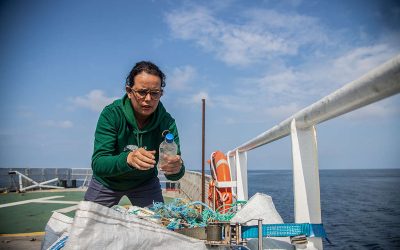 Trabajo de Greenpeace sobre plásticos en el Pacífico colombiano, 2024.