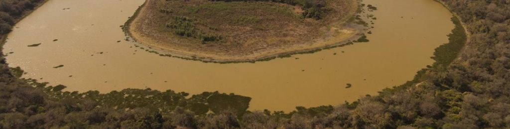 Conservación del NEA y Gran Chaco con Aves Argentinas — material visual publicado por Aves Argentinas