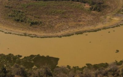 Conservación del NEA y Gran Chaco con Aves Argentinas — material visual publicado por Aves Argentinas