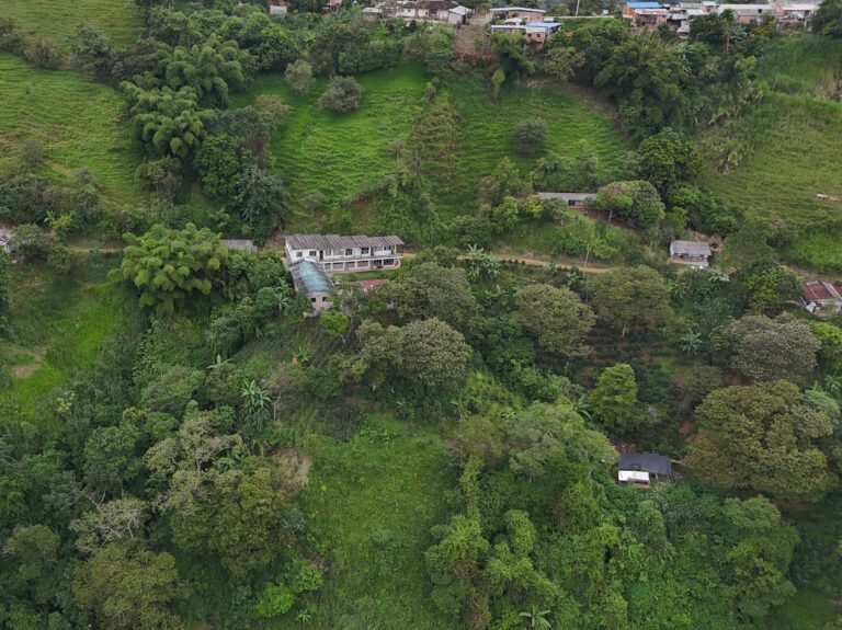 Custodia del Agua: colaboración por las cuencas — material visual publicado por WWF Colombia