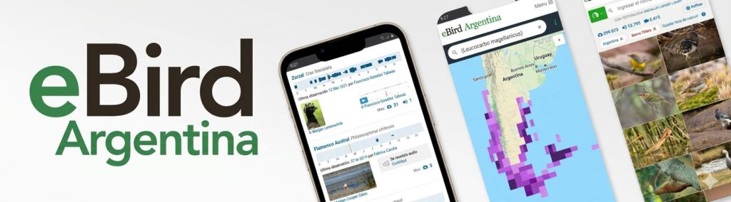 eBird Argentina: registros ciudadanos de aves — material visual publicado por Aves Argentinas