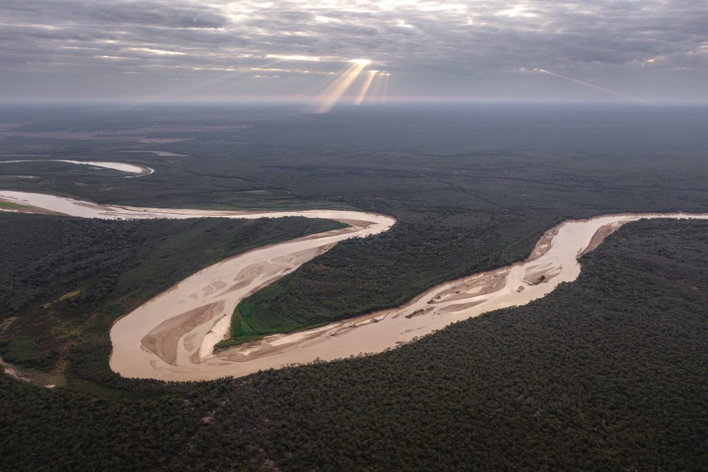 El Impenetrable: recuperación de fauna en Chaco — material visual publicado por Rewilding Argentina
