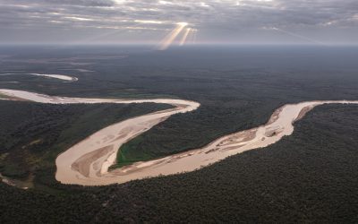 El Impenetrable: recuperación de fauna en Chaco — material visual publicado por Rewilding Argentina