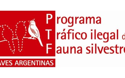 El programa contra el tráfico de fauna de Aves Argentinas — material visual publicado por Aves Argentinas