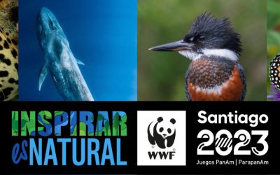 Inspirar es Natural: deporte y naturaleza en Chile — material visual publicado por WWF Chile