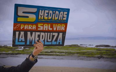 La campaña de Oceana por la merluza común — material visual publicado por Oceana Chile