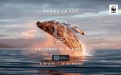 La Hora del Planeta en Colombia — material visual publicado por WWF Colombia